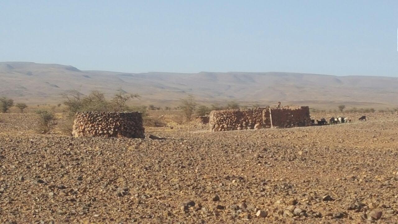 a9d261f7-ce34-4077-b534-0df7420225ad