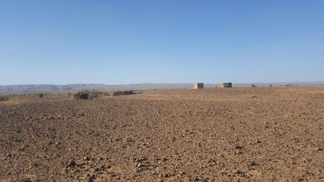 e1af5e51-2418-4fb9-9c28-06e1c879ac48