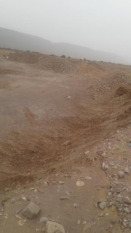 54d0cc2d-ec01-489e-a6dd-7741c58edfbd