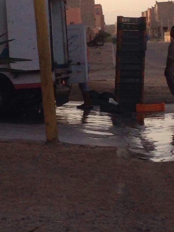 aaf580ec-8fca-4816-aaba-f45b879701ba