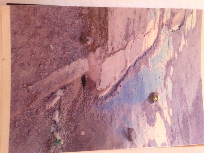 b9ca185d-136c-42eb-b0fa-43a2315d4cb8