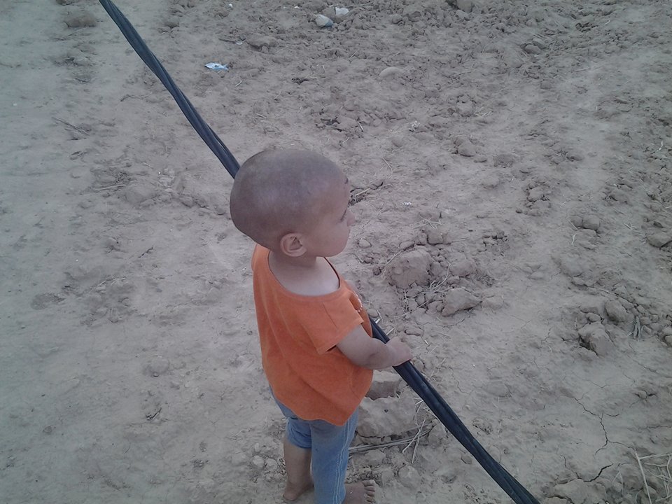 سلك كهربائي ممدد على الأرض