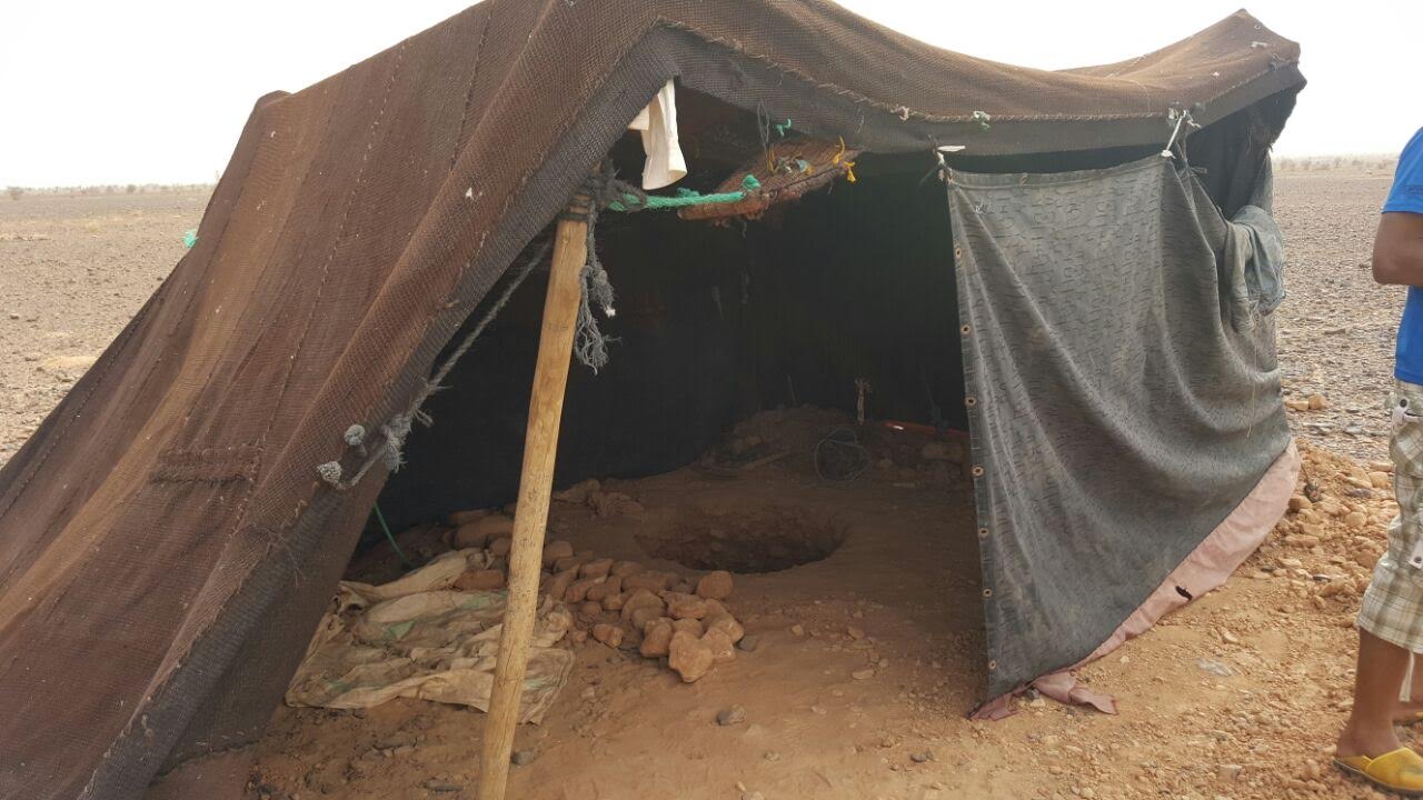 0235b237-be82-45f8-bd13-3b25eefbfae6